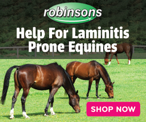 Robinsons Equestrian Help For Laminitis Prone Equines