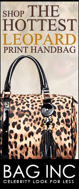 Bag Inc