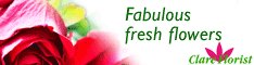 Clare Florist, delivering lovely fresh mothers day flowers throughout the UK, next day.