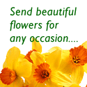  Clare Florist, delivering lovely fresh Freesia for Autumn throughout the UK, next day without any f