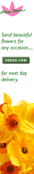  Clare Florist, delivering lovely fresh Freesia for Autumn throughout the UK, next day without any f