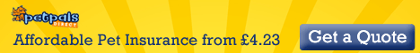 Pet Pals - Pet Insurance One Month Free When You Buy Online