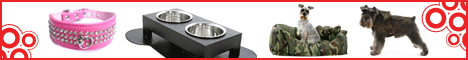 Puchi Pet Logo