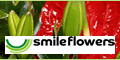 Discount code Smile Flowers