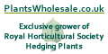 Plants Wholesale