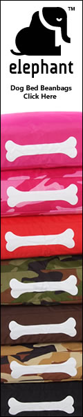 Elephant Bean Bags