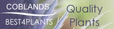 Garden plants Online