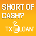 txtloan