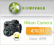 Bidrivals