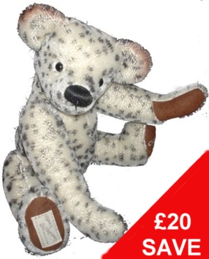 teddy bear special