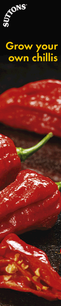Suttons Chilli Bhut Jolokia Seeds