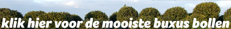 De mooiste buxussen vindt u op Mijnbuxus.nl