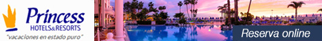 Princess hotel descuento