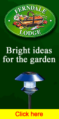 Bright ideas for the Garden from Ferndale Lodge