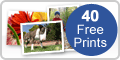 30 free prints and award winning service at PhotoBox