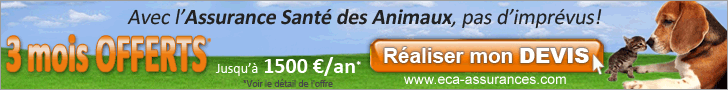 ECA Assurances