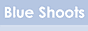 Read More On Blue Shoots 