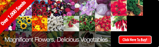 1,000 varieties of seeds at GardenCentre.co.uk