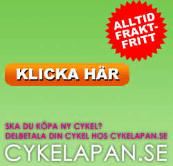 Cykelapan