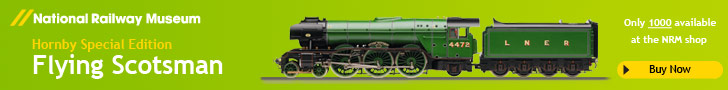 NRM Exclusive Bachmann Robinson 04 Model
