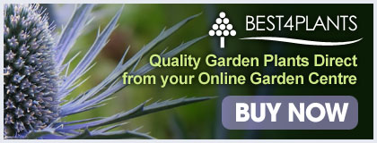 Quality Garden Plants Online 