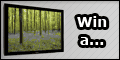 Win4Now Lead Gen