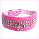 Pucci petwear - designer clothing for dogs and cats