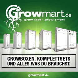 Growbox selber bauen - die DIY Anleitung 1