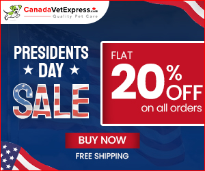 President's Day Blowout 